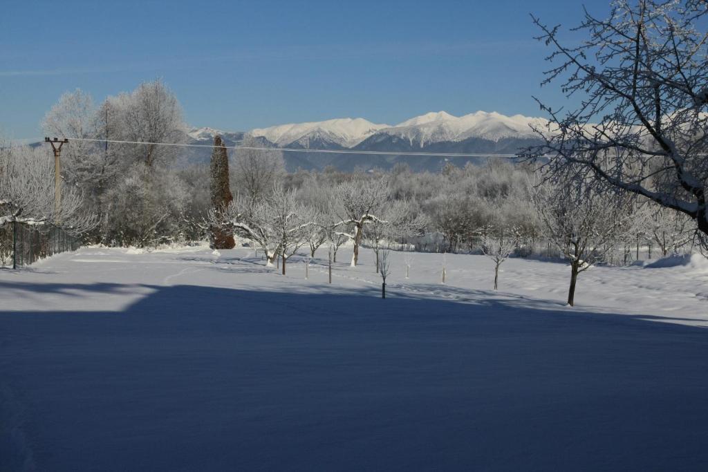 Skipension Jasna Pavcina Lehota  Exterior photo